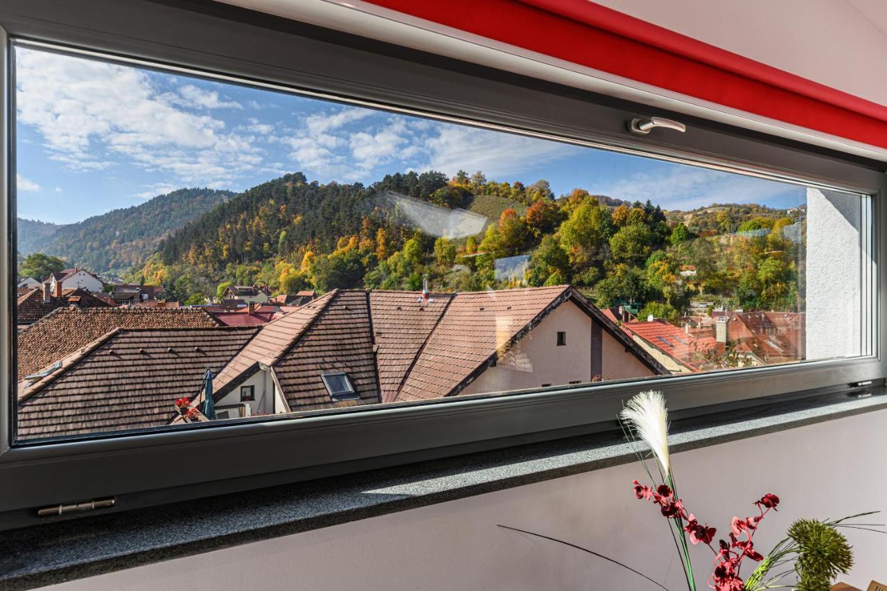 Sun Villas Accommodation Braşov Dış mekan fotoğraf